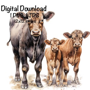 Angus Cows Watercolor Clipart Beef Cows Mama Angus Cow PNG Commercial Use Mom & Calf Farm Barnyard Cows PNG Sublimation Illustration Print