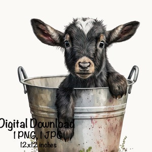 Baby Goat in a Bucket Watercolor Clipart Cute Goat & Bucket Baby Goat PNG Commercial Use Kid Goat Farm Animals Graphics Illustration Print
