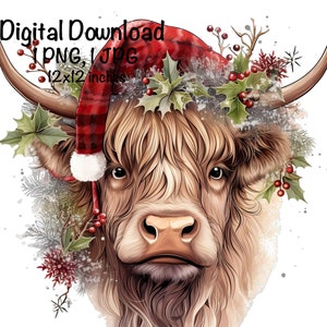 Highland Cow aquarel clipart Highland Cow kerst bloemen vakantie PNG commercieel gebruik Schotse koe afbeelding PNG XMas kerstmuts koe print