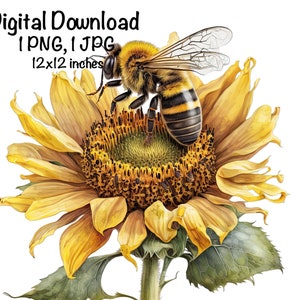 Honey Bee Sunflower Watercolor Clipart Bee Flowers Commercial Use Honeybee Graphic Design Watercolor Bee Clipart Illustration Print
