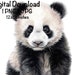 Panda Bear PNG, Cute Panda Bear Clipart, Forest Animals Giant Panda PNG ...
