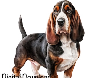 Bassett Hound Dog Watercolor Clipart Cute Bassett Hound Dog PNG Commercial Use Adorable Bassett Hound PNG Graphic Design Illustration Print