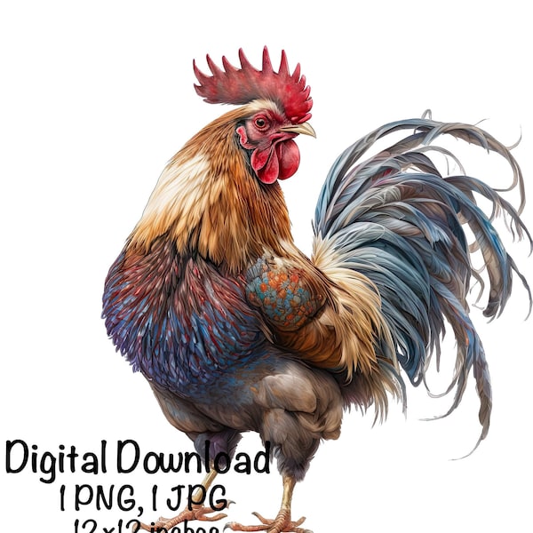 Rooster Watercolor Farm Rooster Boys Girls Clipart Wall Art Rooster Portrait PNG Commercial Use Farming Farmer On The Farm PNG Illustration