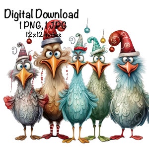 Funny Chicken PNG, Cute Chickens PNG Sublimation, Christmas Crazy Chickens png, Commercial Use, Farm Life Digital Download Chicken Chick PNG
