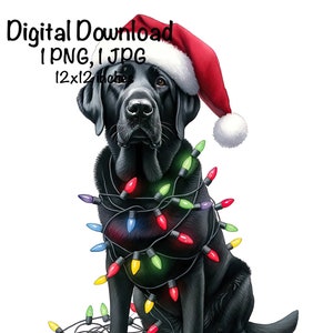Christmas Labrador PNG Christmas Lights Santa Black Labrador Sublimation Cute Lab Dog Adult Labrador Black Lab Santa Dog Christmas Gifts PNG
