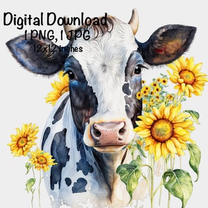 Dairy Milk Cow Watercolor Clipart Highland Cow Sunflowers Flowers PNG Commercial Use Farm Cow Graphic Dairy Cattle Design Illustration Print