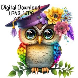 Graduation Owl Clipart Grad Student Owl PNG College Graduation ...