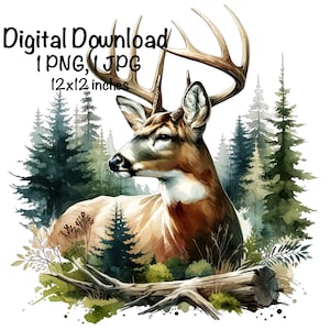 Deer Watercolor Clipart, Whitetail Deer PNG, Commercial Use Deer Hunting PNG, Deer Hunter Sublimation, Buck Forest Animals Digital Download