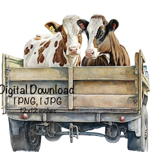 Cows In The Back Of a Farm Truck Watercolor Cow Old Truck Clipart Wall Art Farm Truck PNG Commercial Use Farming Cow Watercolor Illustration