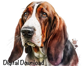 Bassett Hound Dog Watercolor Clipart Cute Bassett Hound Dog PNG Commercial Use Adorable Bassett Hound PNG Graphic Design Illustration Print