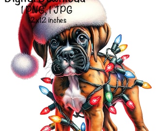 Cucciolo di Boxer di Natale PNG Luci di Natale Babbo Natale Boxer Sublimazione Cane Boxer carino Boxer cucciolo png GPS Cucciolo di Boxer Regali di Natale Boxer PNG
