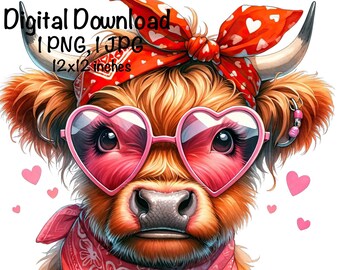 Highland Cow Valentine's Day PNG Happy Valentine Highland Cow Hearts Funny Valentine Cow PNG Commercial Use Scottish Cow Download Design