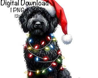 Weihnachten Goldendoodle Welpen PNG Weihnachtslichter Weihnachtsmann Schwarz Doodle Hund Sublimation Golden Doodle Hund Baby Doodle PNG Welpen Weihnachtsgeschenke