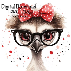 Funny Ostrich PNG, Cute Ostrich PNG Sublimation, Ostrich Bird Wearing Sunglasses, Commercial Use, Safari Life, Digital Download, Ostrich png