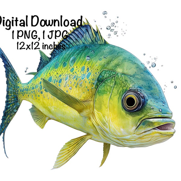 Mahi Mahi Fish Acuarela Agua salada Peces Clipart Mahi Mahi Natación PNG Uso comercial Ilustración Dolphinfish Pesca Peces Imprimir PNG