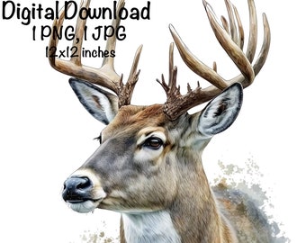 Deer Watercolor Clipart, Whitetail Deer PNG, Commercial Use Deer Hunting PNG, Deer Hunter Sublimation, Buck Forest Animals Digital Download