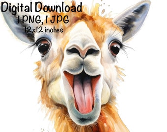 Lama PNG Clipart mignon lama des montagnes Lama des montagnes drôle PNG usage Commercial Lama alpaga Graphisme impression sublimation alpaga PNG