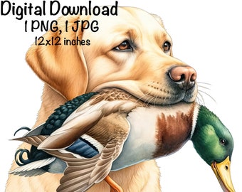 Yellow Labrador Dog PNG, Duck Hunting Dog PNG, Commercial Use, Hunting Dog Duck Hunter Sublimation, Labrador Dog Outdoor Lab Dog Hunt Duck