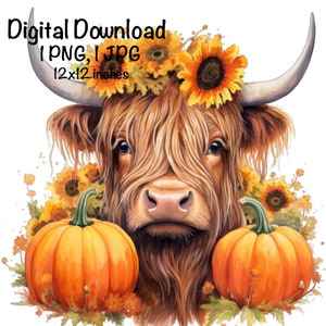 Fall Highland Cow PNG Watercolor Clipart Highland Fall Flowers Cow PNG Commercial Use Scottish Cow Graphic Cattle Sublimation Western Cow