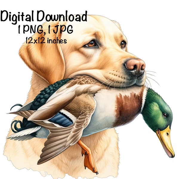 Yellow Labrador Dog PNG, Duck Hunting Dog PNG, Commercial Use, Hunting Dog Duck Hunter Sublimation, Labrador Dog Outdoor Lab Dog Hunt Duck