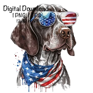 May include: A brown and white German Shorthaired Pointer dog wearing sunglasses with an American flag design. The dog is wearing a bandana with an American flag design. The background is a watercolor wash of red, white, and blue.