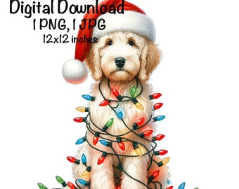 Christmas Goldendoodle Puppy PNG Christmas Lights Santa Black Doodle Dog Sublimation Golden Doodle Dog Baby Doodle PNG Puppy Christmas Gifts