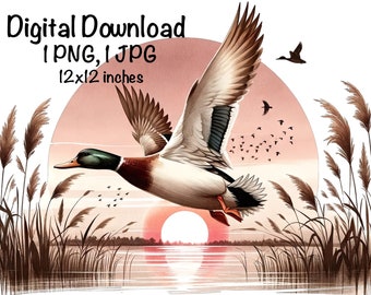 Mallard Duck PNG Wild Duck Sublimation PNG Mallard Duck Sunset Wetland Hunting  png Flying Ducks Duck Hunting Season PNG Hunter Sublimation