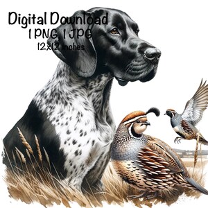 Puede incluir: Un perro Braco Alemán de pelo corto negro y blanco con una codorniz marrón y blanca sentada a su lado. Una segunda codorniz está volando en el fondo. La imagen está sobre un fondo blanco.