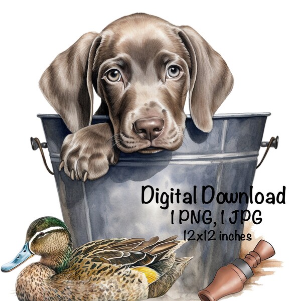 Weimaraner Dog PNG, Hunting Dog Sublimation, Weimaraner in a Bucket Baby Puppy PNG Commercial Use Weimaraner Dog Duck Decoy Duck Call Print