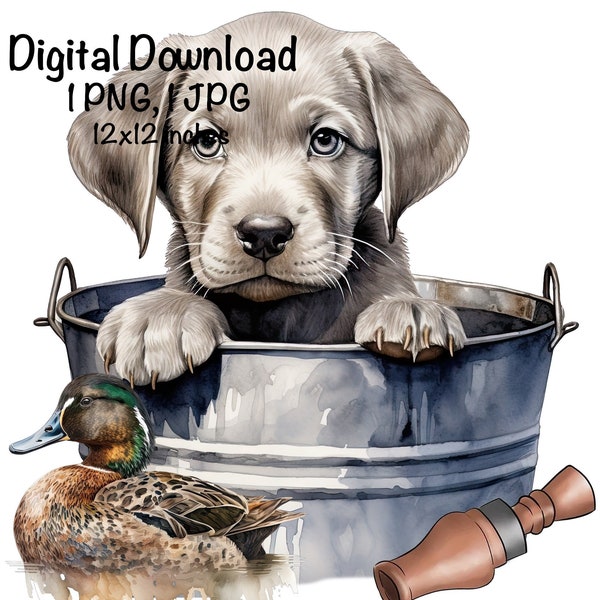 Labrador Puppy Watercolor Clipart Cute Lab Dog in a Bucket Baby Labrador PNG Commercial Use Silver Lab Puppy Duck Decoy Duck Call  Print