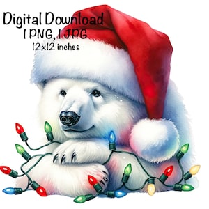 Christmas Lights a& Polar Bear Watercolor Clipart Cute Xmas Bear PNG Cute White Polar Bear Sublimation Winter Bear Merry Christmas PNG Print