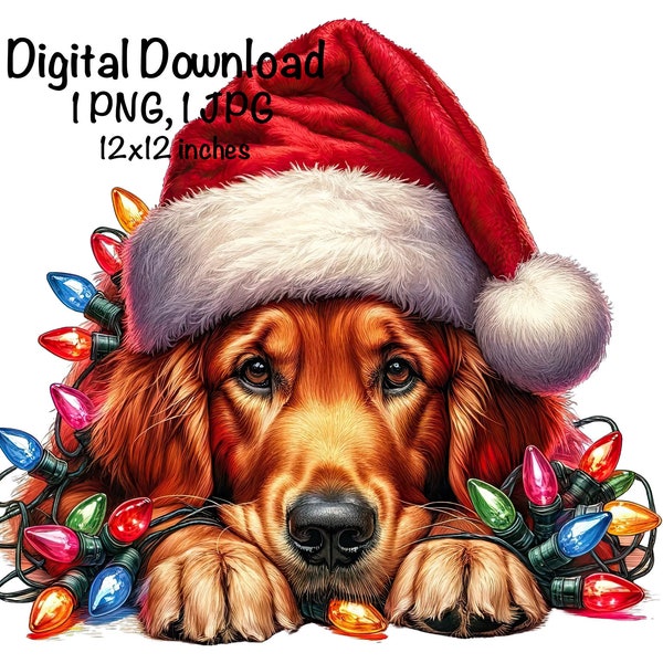 Christmas Golden Retriever Dog PNG Christmas Lights Santa Retriever Sublimation Cute Dog Adult Retriever Dog Santa Dog Christmas Gifts PNG