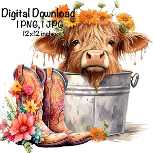 Highland Cow PNG Cute Highland Longhaired Cow Clipart Cow in Metal Bucket Cowgirl Boots Commercial Use Highland Calf PNG Digital Download