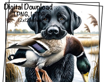 Labrador Dog PNG Duck Hunting Black Labrador Dog PNG Commercial Use Hunting Dog Duck Hunter Sublimation Labrador Dog Outdoor Dog Hunt Duck