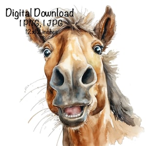 Funny Horse Watercolor Clipart Cute Horse Neigh Horse Riding PNG Commercial Use Funny Horse Face Graphic Design Illustration Print Horse PNG