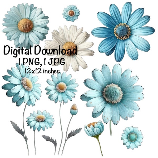 Light Blue Daisy Flowers Clipart Flowers PNG Commercial Use Daisy Flowers Set Illustration Cute Flowers Clipart Daisy Flowers PNG Graphic