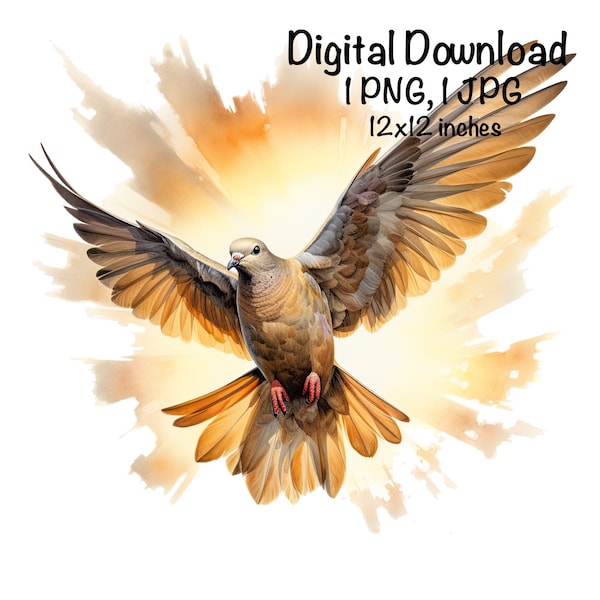 Dove PNG Wild Dove Sublimation PNG Dove Hunting Sublimation Commercial Use Flying Dove Sunrise Dove Hunting Season PNG Hunter Sublimation