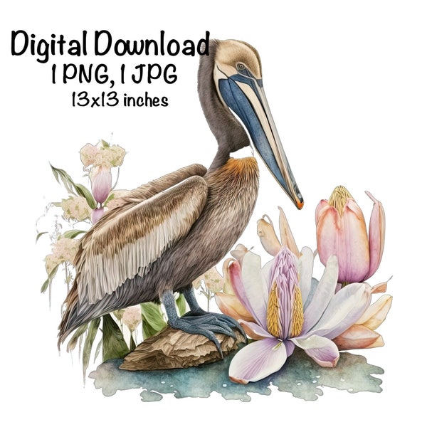 Pelican Watercolor Clipart Louisiana Brown Pelican Magnolia Flowers PNG Commercial Use LA Pelican Graphic Flowers Design Illustration Print