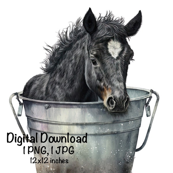 Black Horse Watercolor Clipart Cute Horse in a Bucket Baby Horse Foal PNG Commercial Use Farm Horse Lover Graphic Design Illustration Print