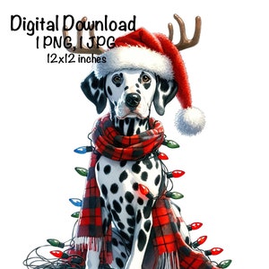May include: A Dalmatian dog wearing a red Santa hat with antlers, a red and black plaid scarf, and Christmas lights wrapped around its body. The dog is sitting on a white background.