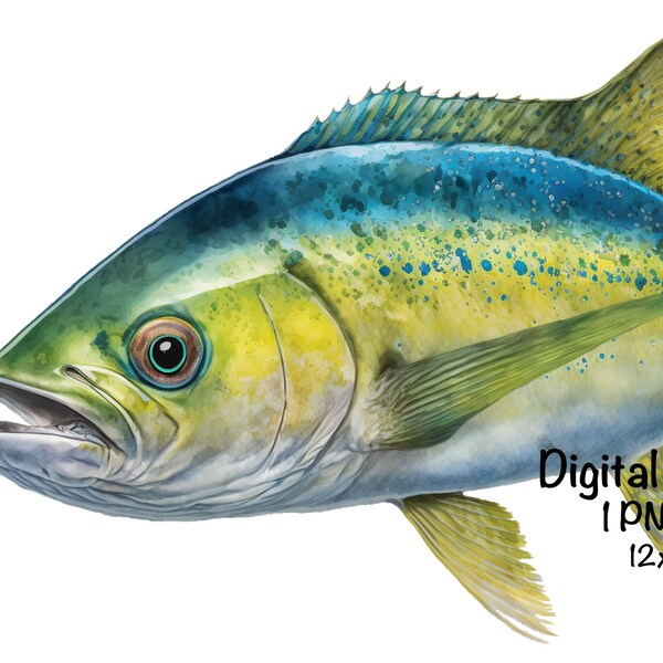 Mahi Mahi Fish Sublimation Saltwater Fish Clipart Mahi Mahi Swimming PNG Commercial Use Illustration Dolphinfish Fishing Fish Print Mahi PNG