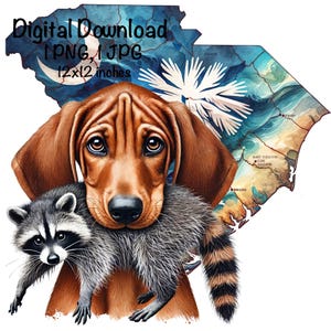 South Carolina Waschbär Jagdhund PNG | Jagende Redbone Coonhound Hundekarte | Jagd Sublimation Waschbär Jäger Shirt PNG | Jagd-Shirt PNG