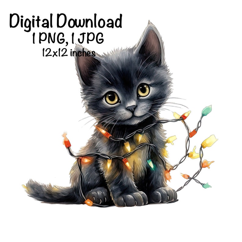 May include: A black kitten with yellow eyes is tangled in a string of colourful Christmas lights. The kitten is sitting on a white background. Digital Download 1 PNG, 1 JPG 12x12 inches