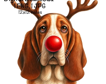 May include: A digital download image of a Basset Hound wearing reindeer antlers and a red nose. The dog has brown and white fur, with large, droopy ears. The image includes the text "Digital Download 1 PNG, 1 JPG 12x12 inches."