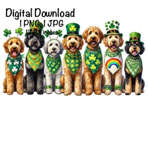 St patricks Goldendoodle Hunde in einer Reihe St Patrick Doodle Hunde in einer Reihe Sublimation Golden Doodle Hund Baby Doodle PNG Welpen Glück Liebe Geschenke