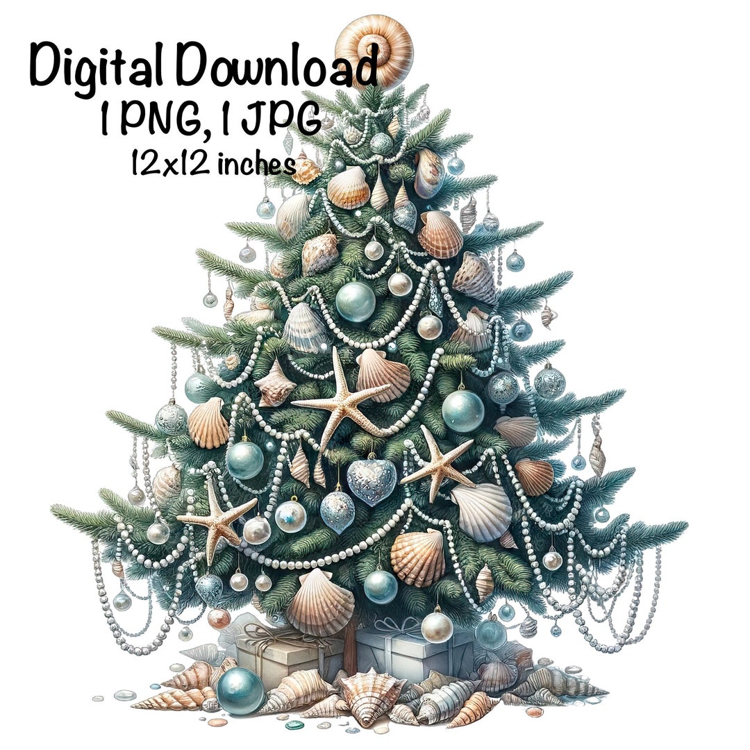 Seashell Christmas Tree PNG Beach Seashell Christmas Holiday PNG
