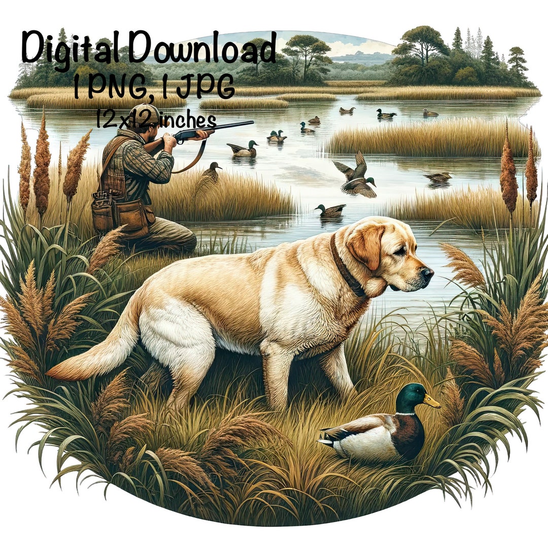 Labrador Marsh Marsh Duck Hunting Sublimation PNG Yellow Labrador Dog PNG Commercial ...
