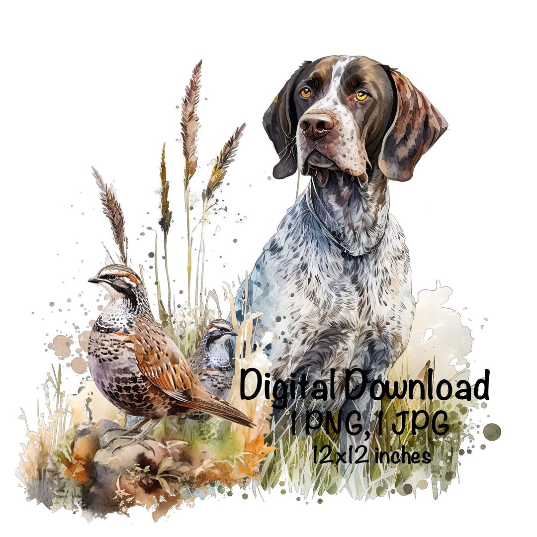German Shorthared Ponter Vnyl Decal Wth Custom Name - GSP Decal