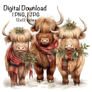 Kerst hooglandkoeien PNG hooglandkoe kerst sublimatie vakantie PNG kerstcadeaus Schotse koe afbeelding XMas PNG afbeelding afdrukken