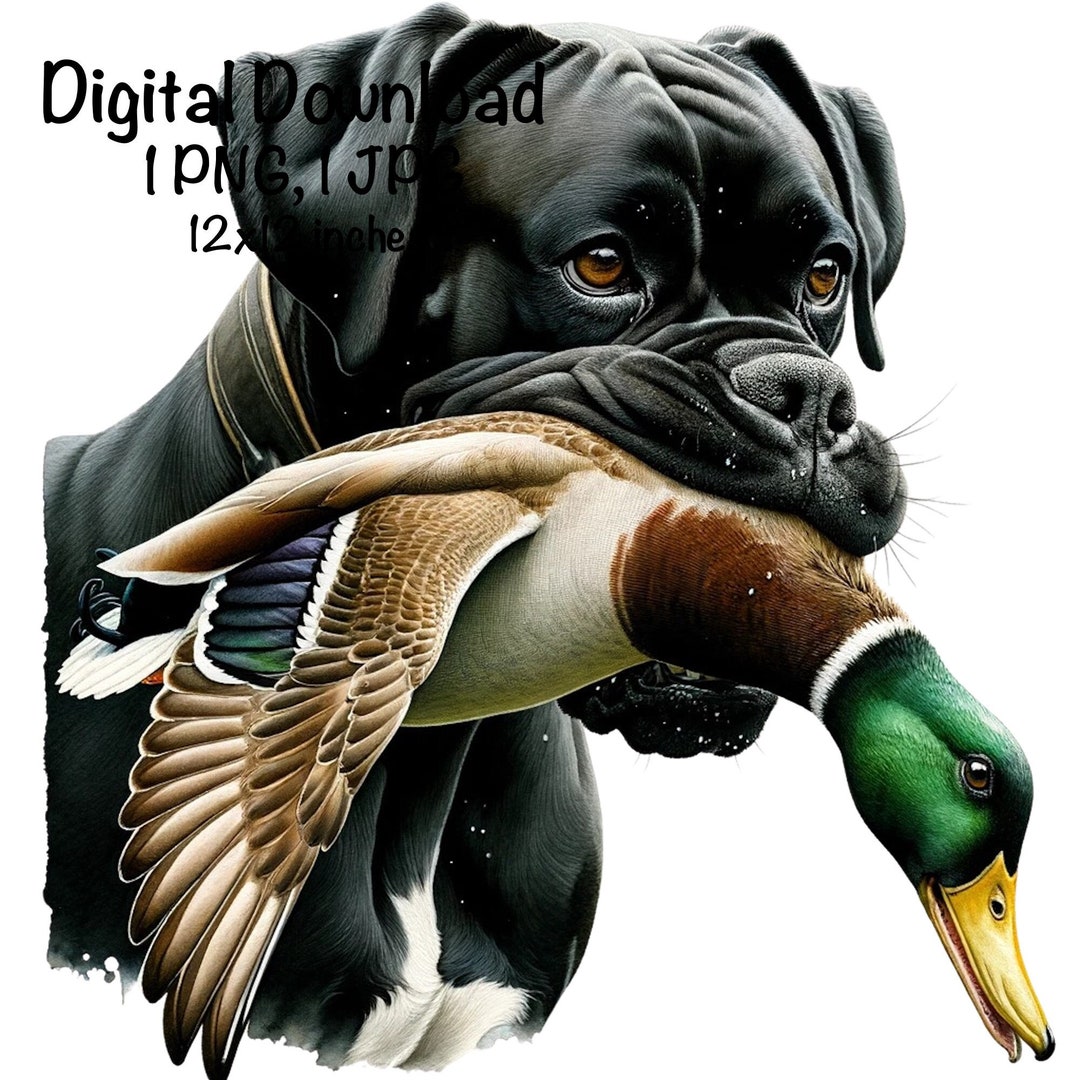 Boxer Dog PNG Duck Hunting Dog PNG Digital Download Bird Hunting Dog ...